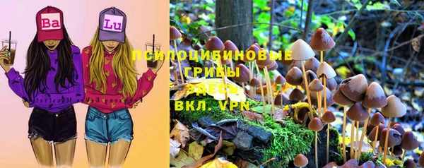 кристаллы Алексин