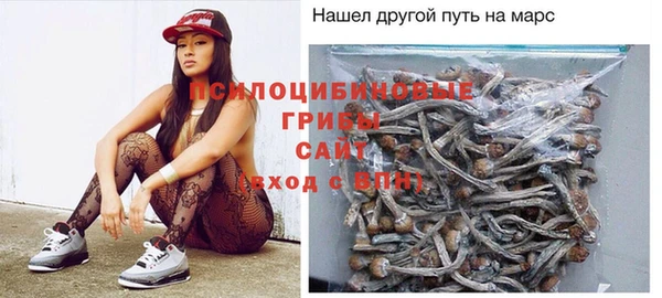 jwh Алзамай