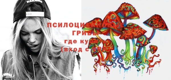стафф Алексеевка
