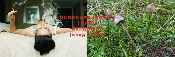 стафф Алексеевка