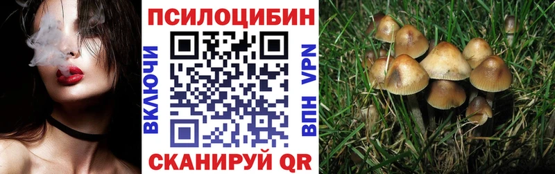 Галлюциногенные грибы мицелий  Москва 